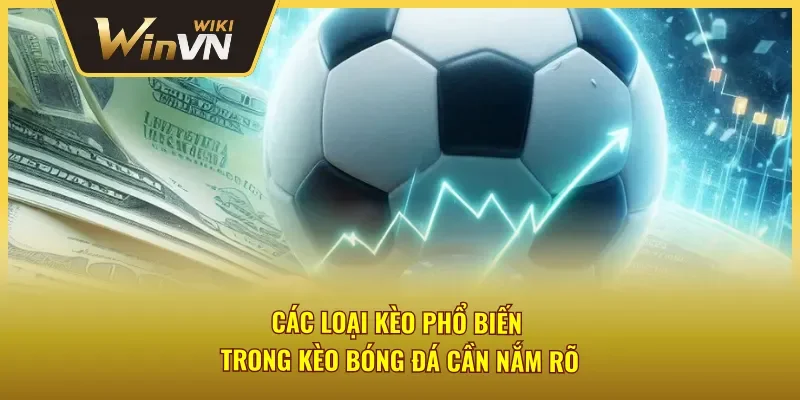 Những loại kèo bóng đá Winvn cơ bản cần nắm
