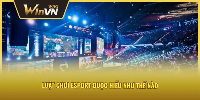 Luật thi đấu thể thao điện tử Winvn chuẩn quốc tế
